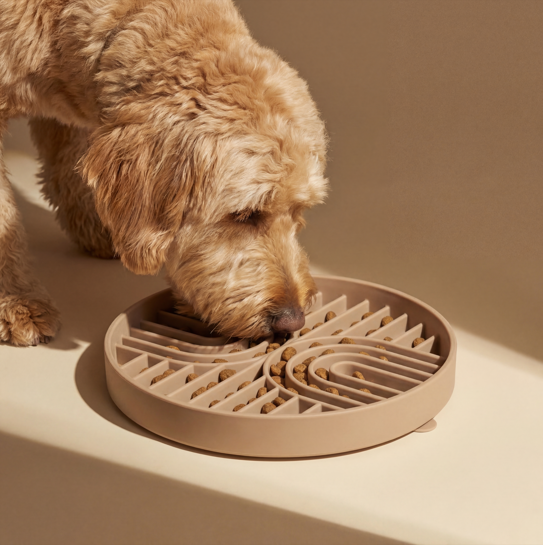 Slow Feeder Enrichment Bowl