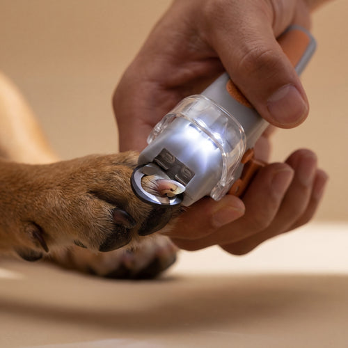 PrecisionGlow Nail Clipper